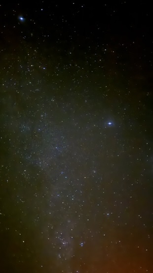Nachtlucht met melkweg en bomen, outback Australië