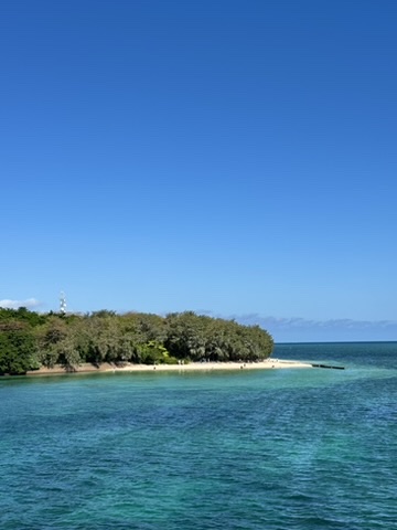 Green Island koraalrif luchtfoto vanuit vliegtuig, Cairns