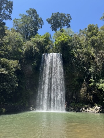 Millaa Millaa waterval in het Cairns regenwoud, Queensland