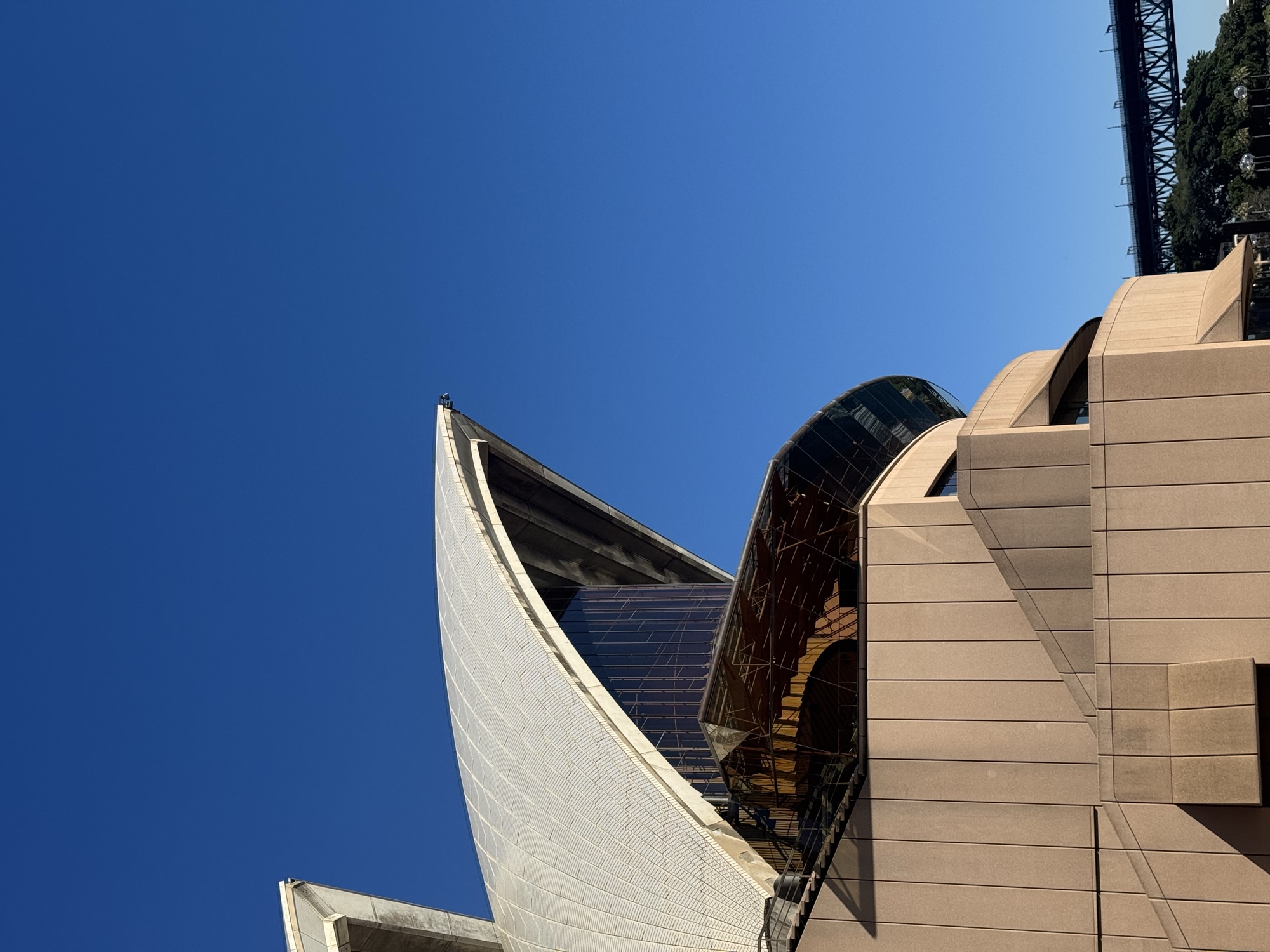 Sydney Opera House zeilen close-up van onderen